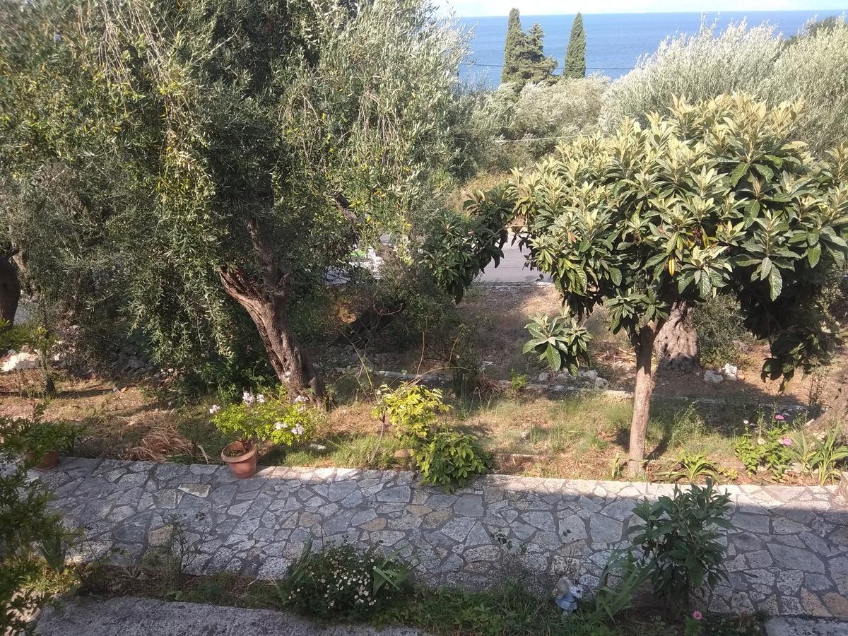 Barbara's Sea View Benitses (Corfu)